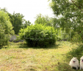 земля 6 сот Нагорная