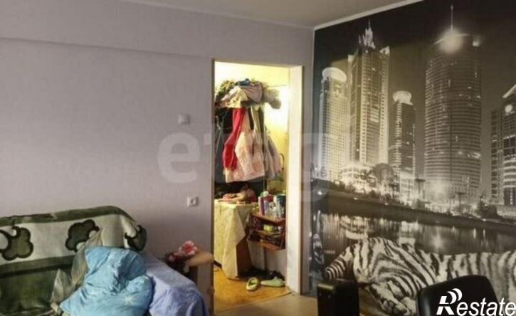 2-комн квартира ул Пушкина, 183/3,  д. 183/3