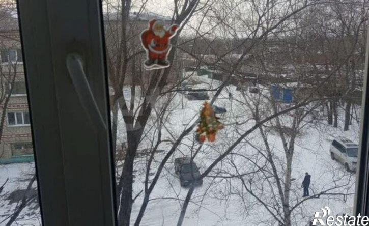 2-комн квартира ул Пушкина, 183/3,  д. 183/3