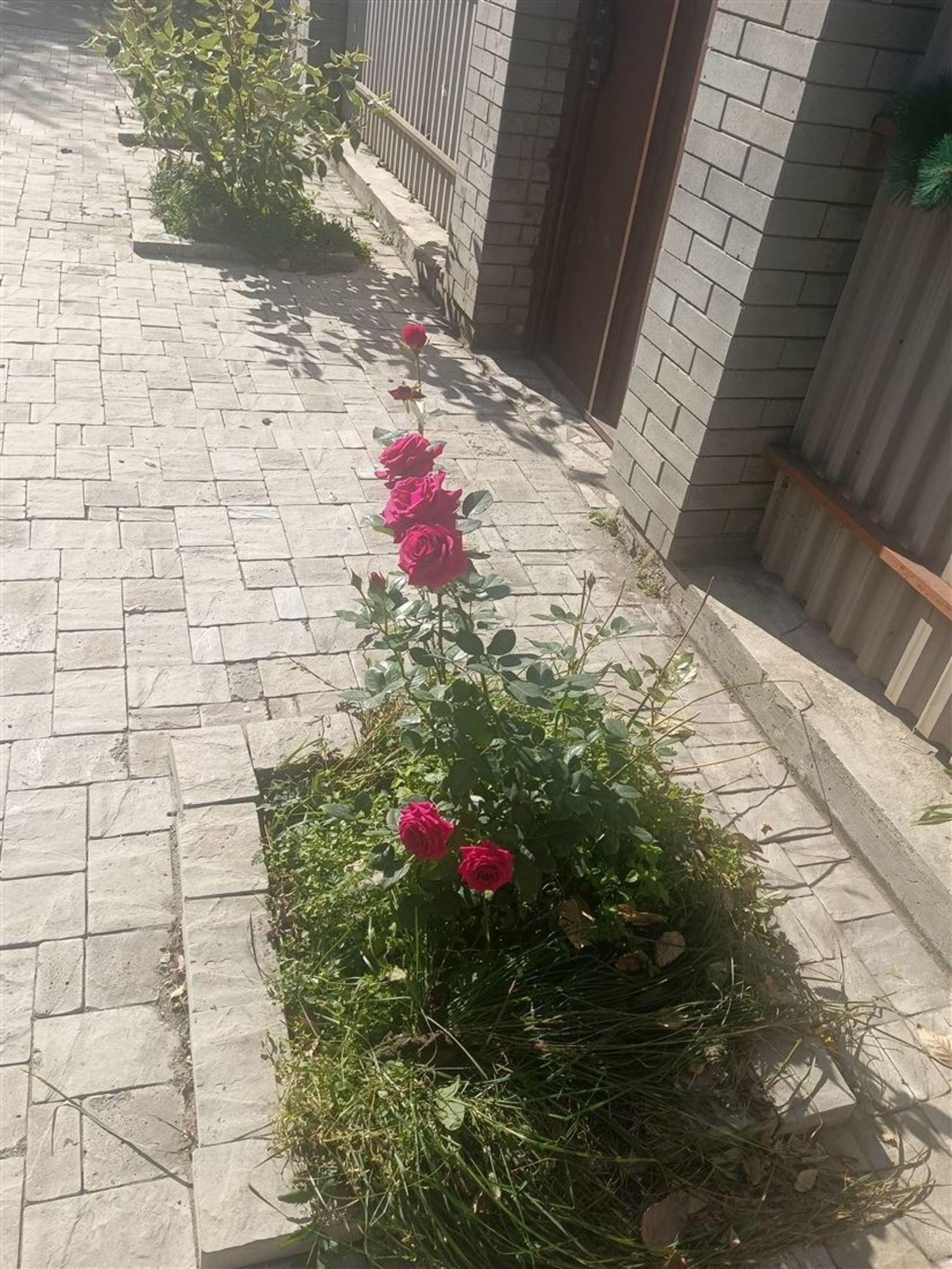 Купить дачу, дом, коттедж за 23 000 000 рублей на Благовещенск