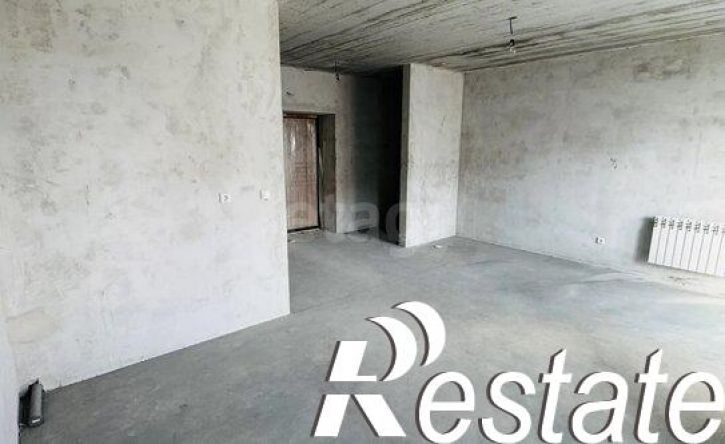1-комн квартира Амурская улица, 55/3,  д. 55/3